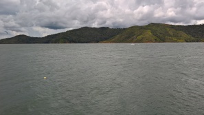 Blick auf dem See