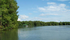 Blick auf den See