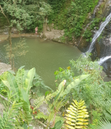 Blick auf den Wasserfall
