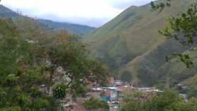 Tal