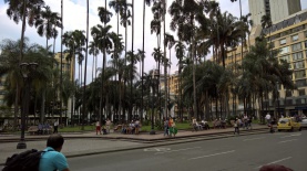 PARK