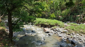 Fluss