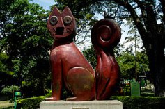Katze