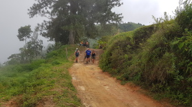 Los Pinos