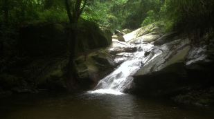 Wasserfall