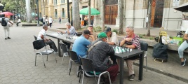 Schachspieler
