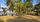 Strand mit Palmen