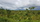 Landschaft